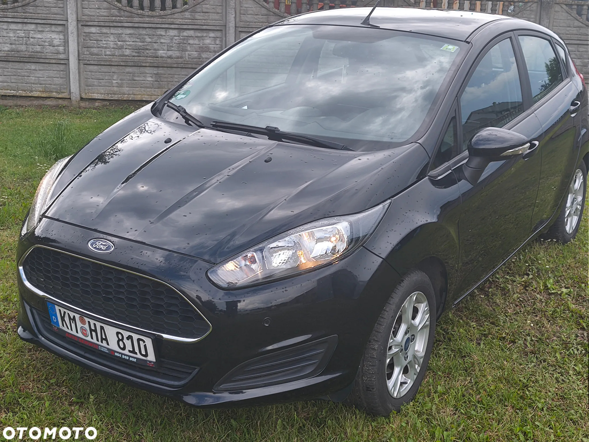 Ford Fiesta - 18