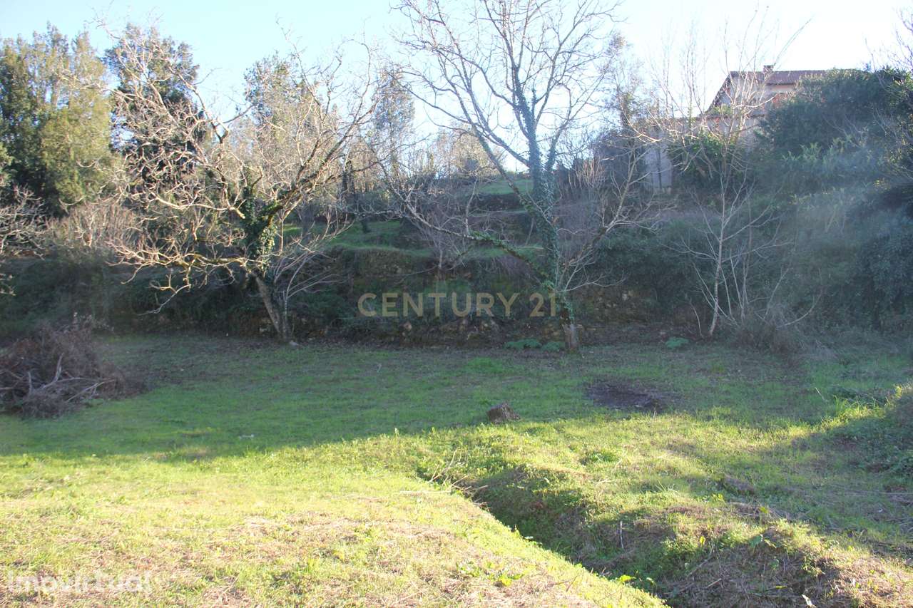 Fantástico terreno para moradia - Grande imagem: 3/27