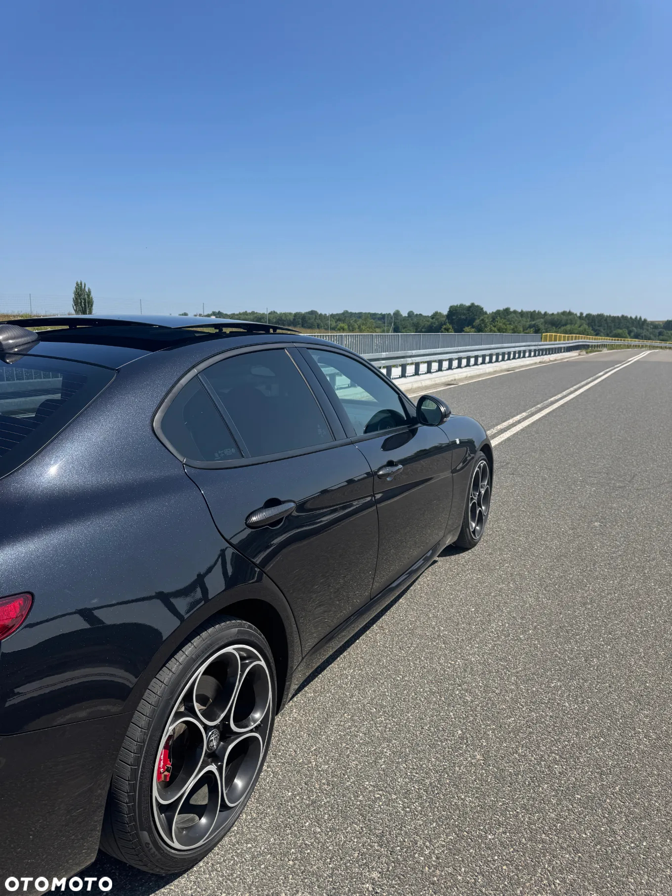 Alfa Romeo Giulia 2.0 Turbo Veloce TI Q4 - 12