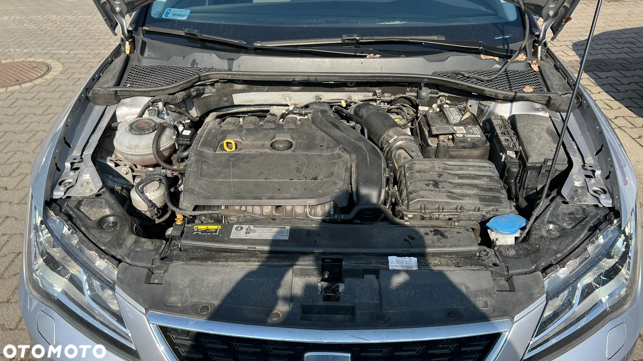 Seat Leon 1.5 EcoTSI Evo Style S&S - 13