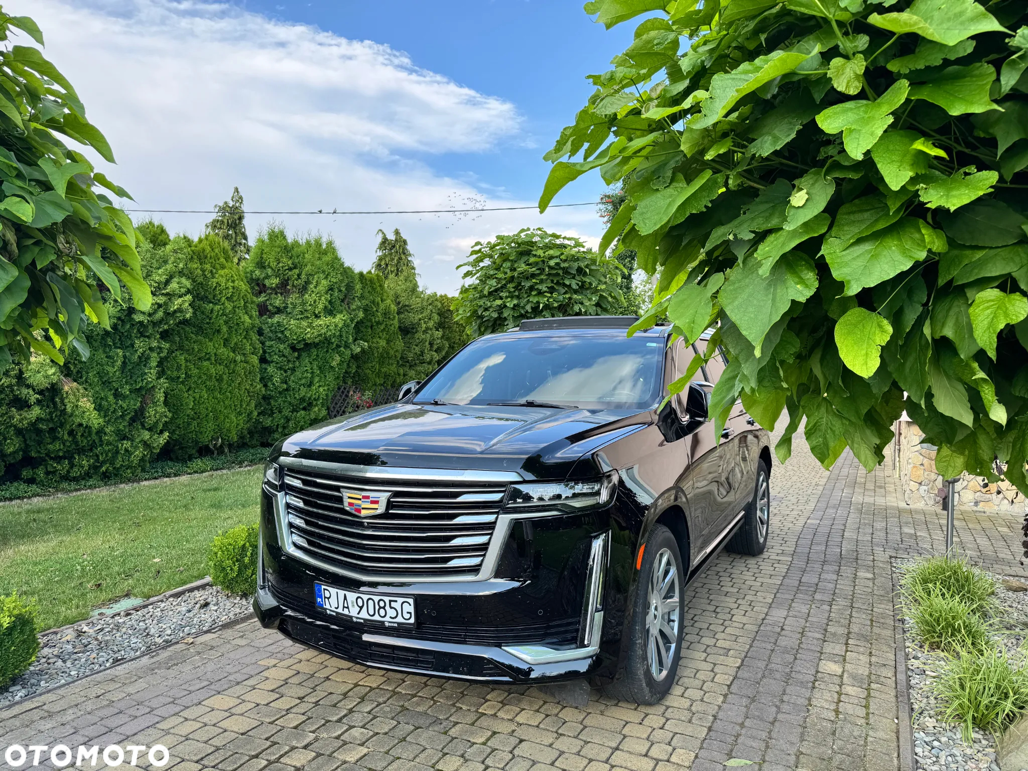Cadillac Escalade - 4