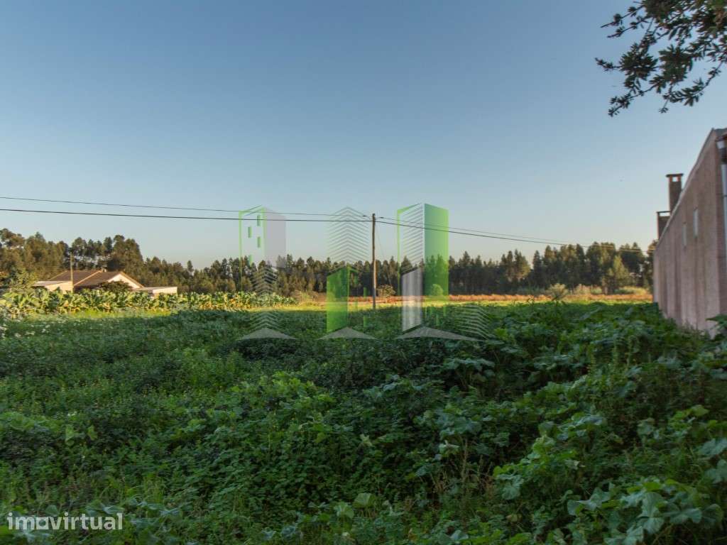 Lote de Terreno - Marvão, Cantanhede - Grande imagem: 5/13