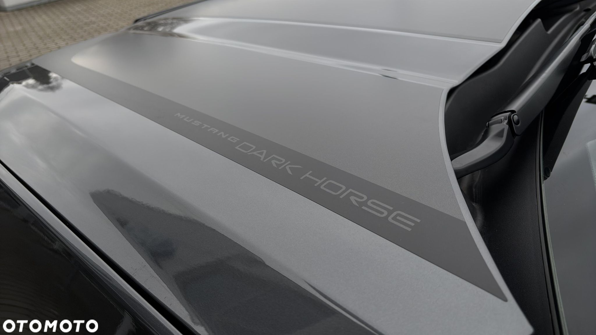 Ford Mustang 5.0 Ti-VCT V8 Dark Horse - 14