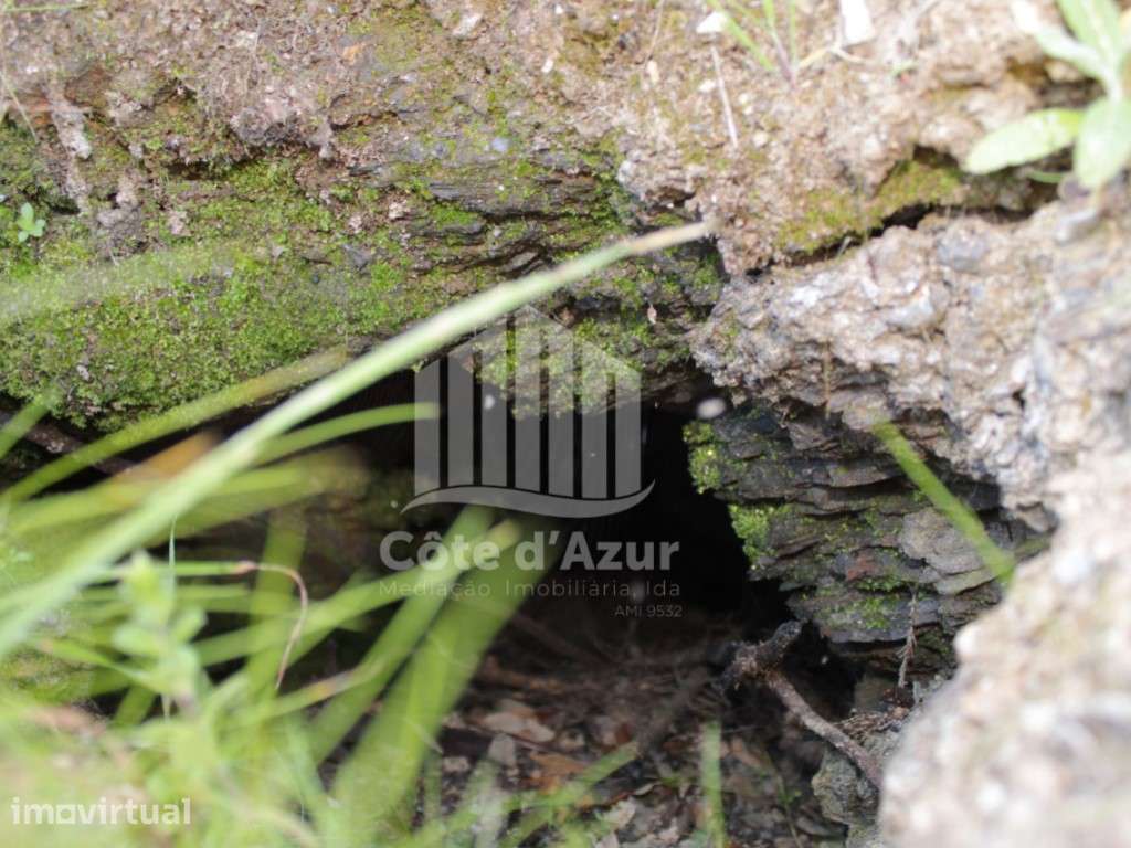 Terreno com 11 hectares - Odemira - Grande imagem: 2/26