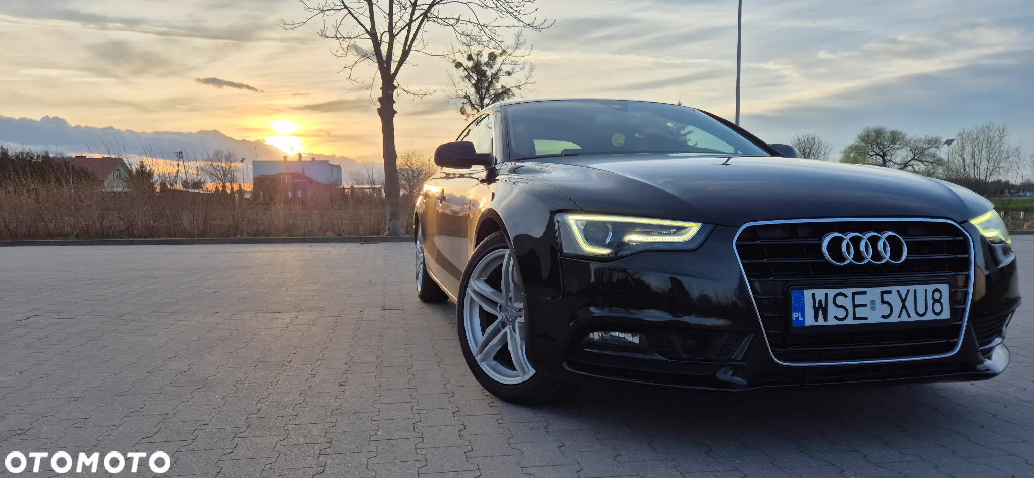 Audi A5 2.0 TDI Sportback DPF - 19