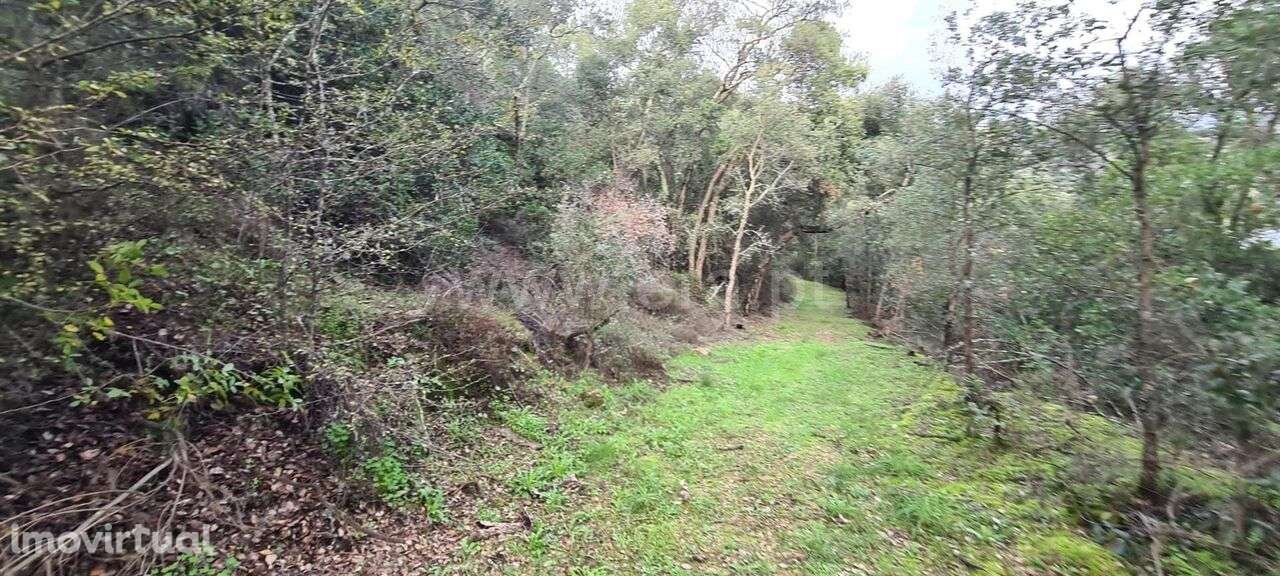 Quinta / Baião, Rio Douro - Grande imagem: 2/6