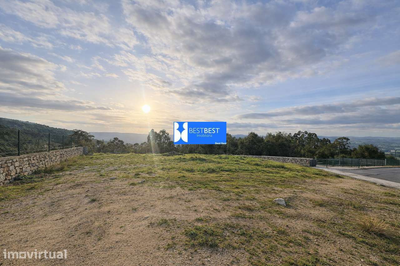 TERRENO COM 10.031  M2 EM BURGAES, SANTO TIRSO - Grande imagem: 4/11