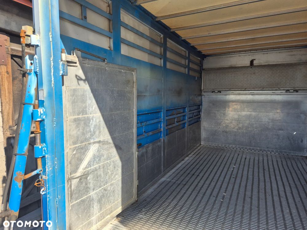 Iveco DAILY 40C18 180KM DO PRZEWOZU ZWIERZAT BYDŁA KONIOWÓZ - 14