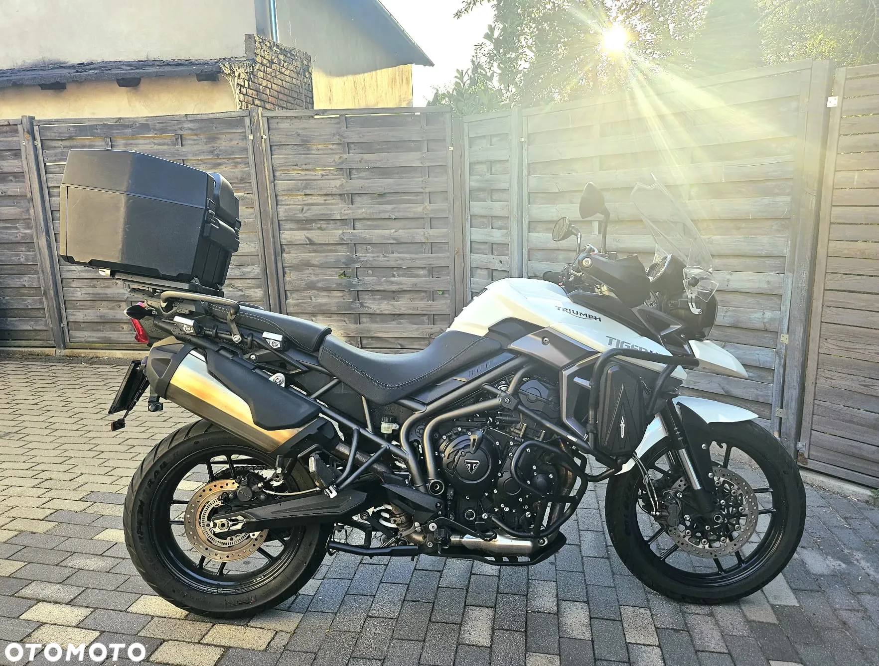 Triumph Tiger - 6