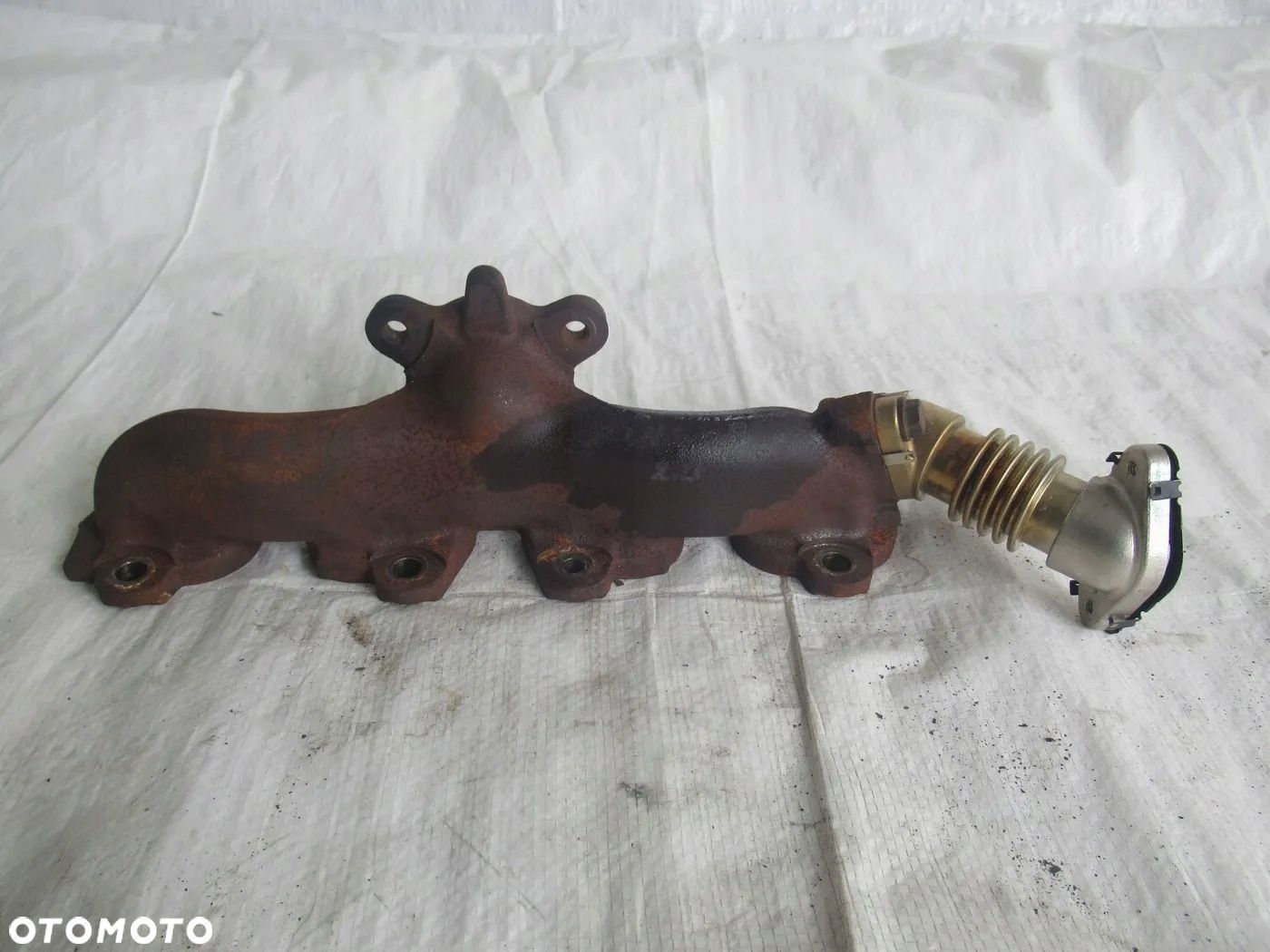 KOLEKTOR OPEL INSIGNIA 2,0 CDTI 55580744 B20DTH - 1