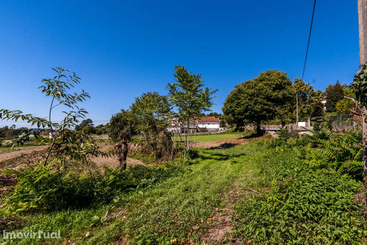 Terreno para construção de moradia individual - Grande imagem: 5/15