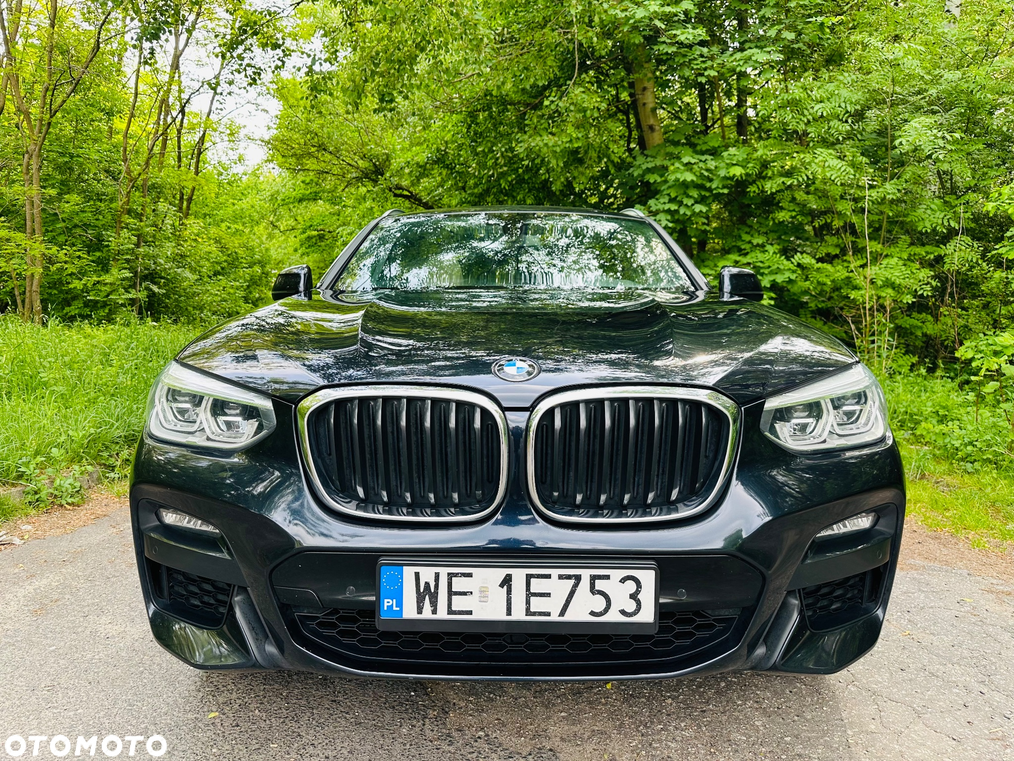 BMW X4 xDrive30i GPF M Sport X sport - 4