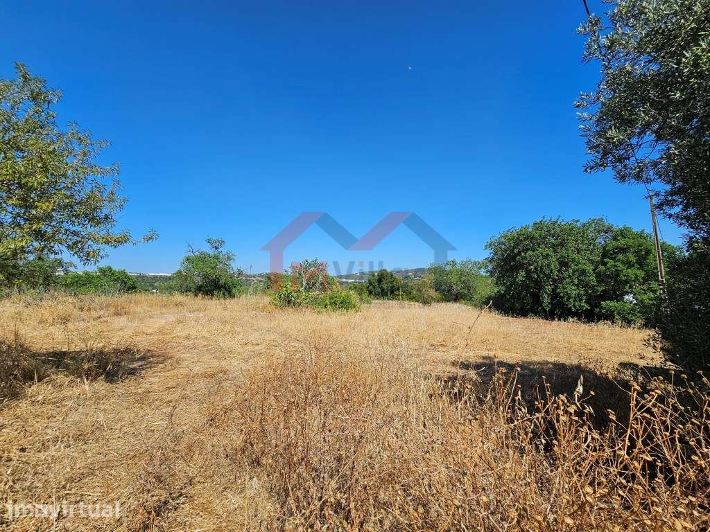 Moradia tradicional V5 para recuperar com terreno de 31.000 m2 - Loulé - Grande imagem: 4/18