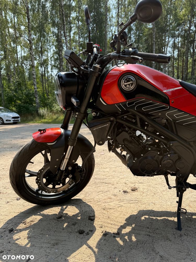 Benelli Leoncino - 2