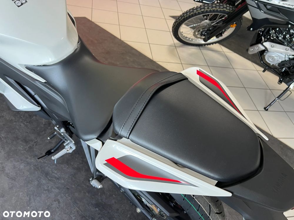Yamaha R3 - 6