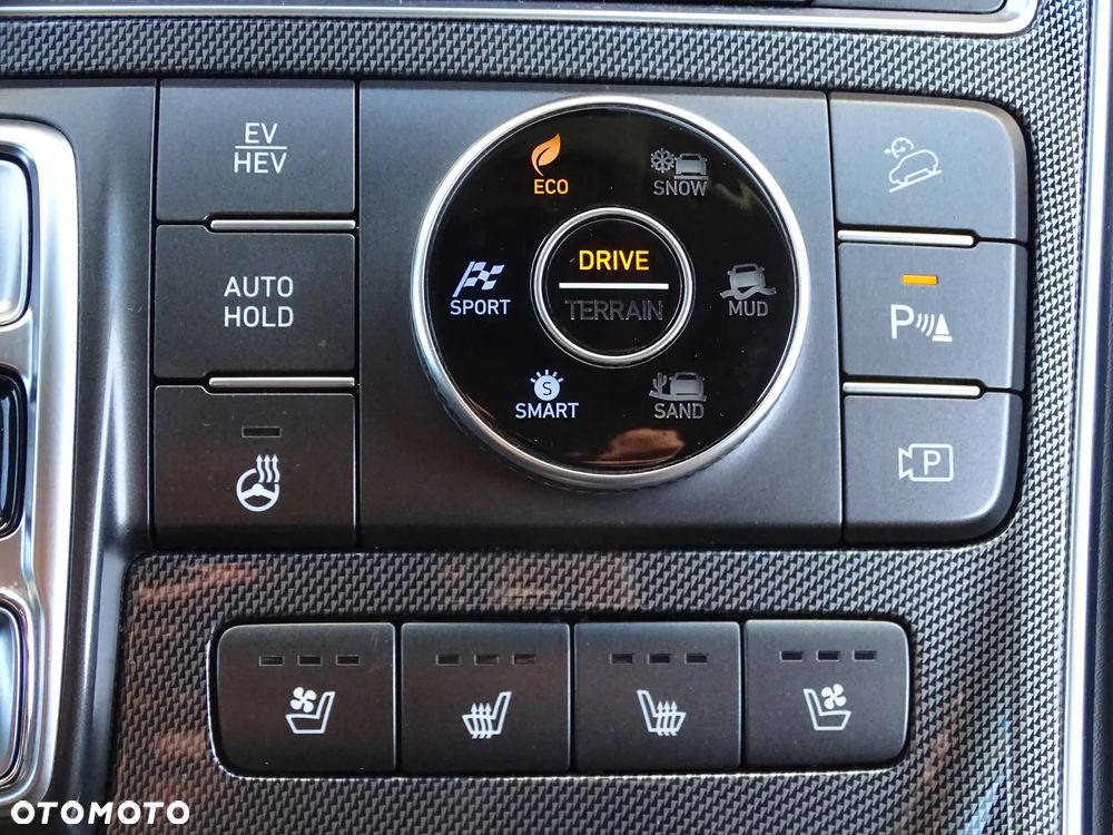 Hyundai Santa Fe - 40