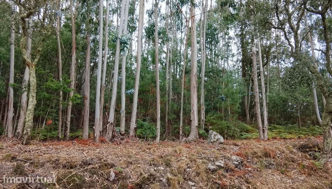 Terreno para venda, Candemil, Vila Nova de Cerveira - Grande imagem: 4/7