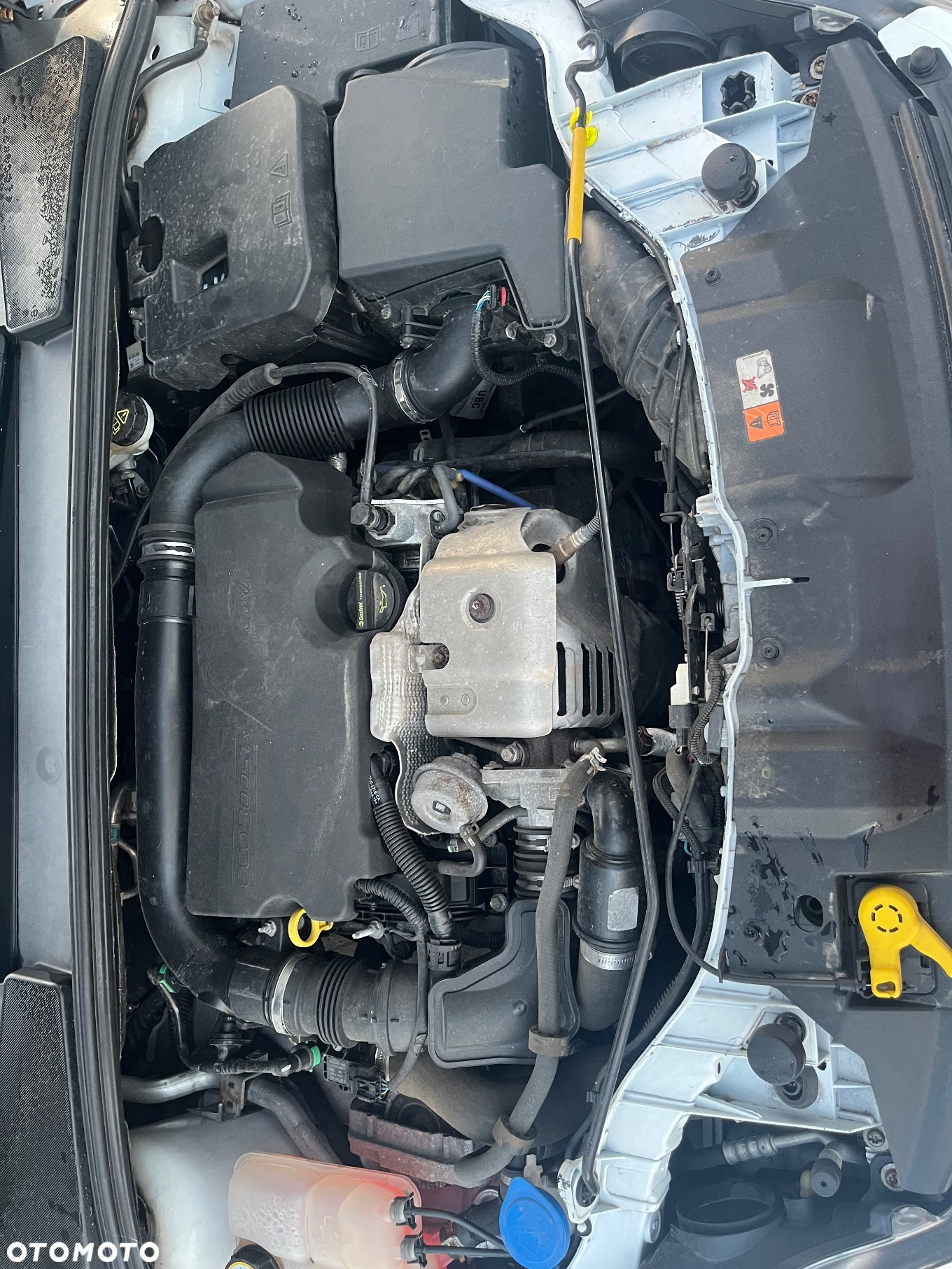 Ford Focus 1.0 EcoBoost Start-Stopp-System COOL&CONNECT - 16
