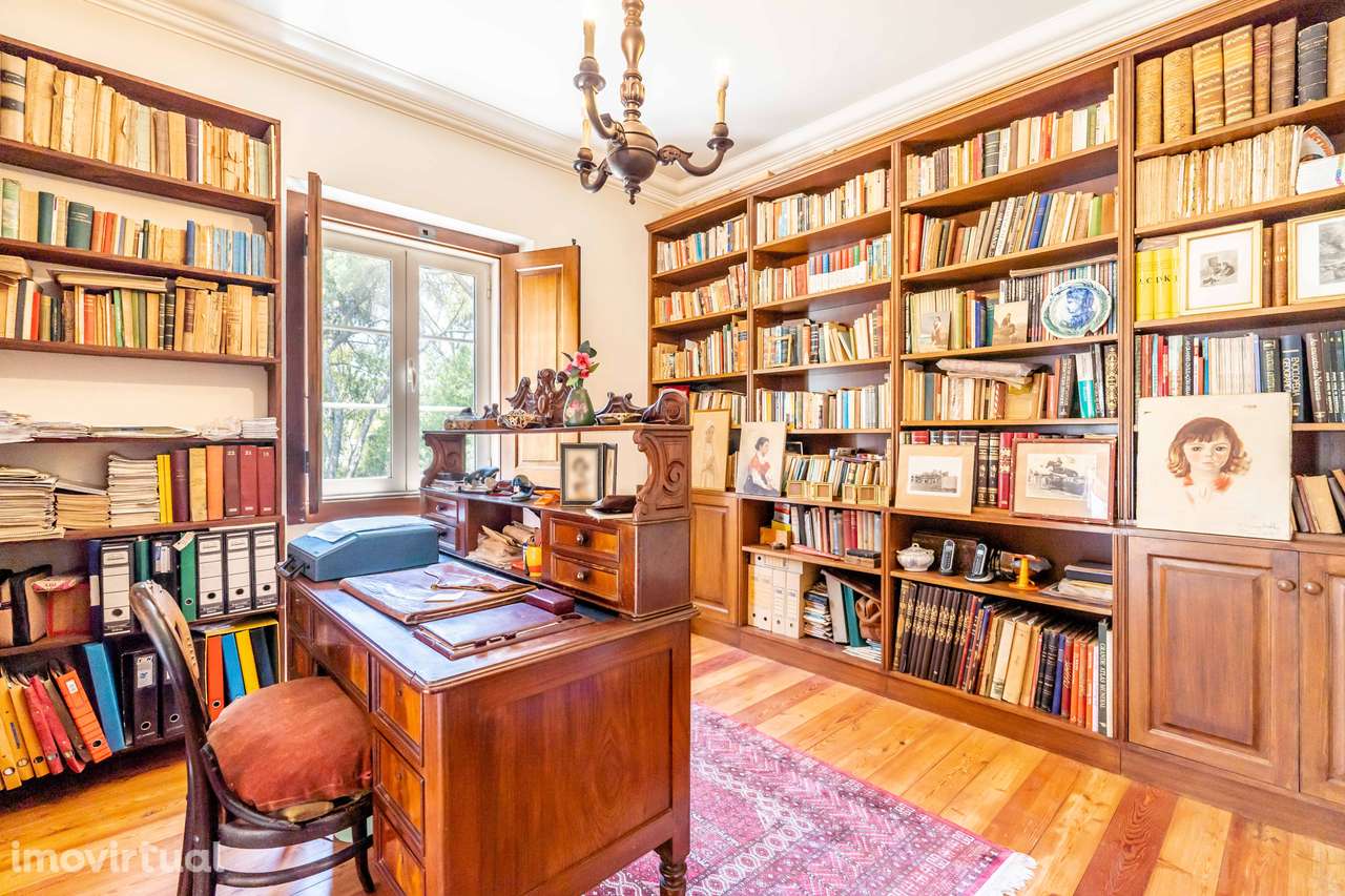 Quinta Histórica em Santarém com 539.460 m² - Grande imagem: 3/27