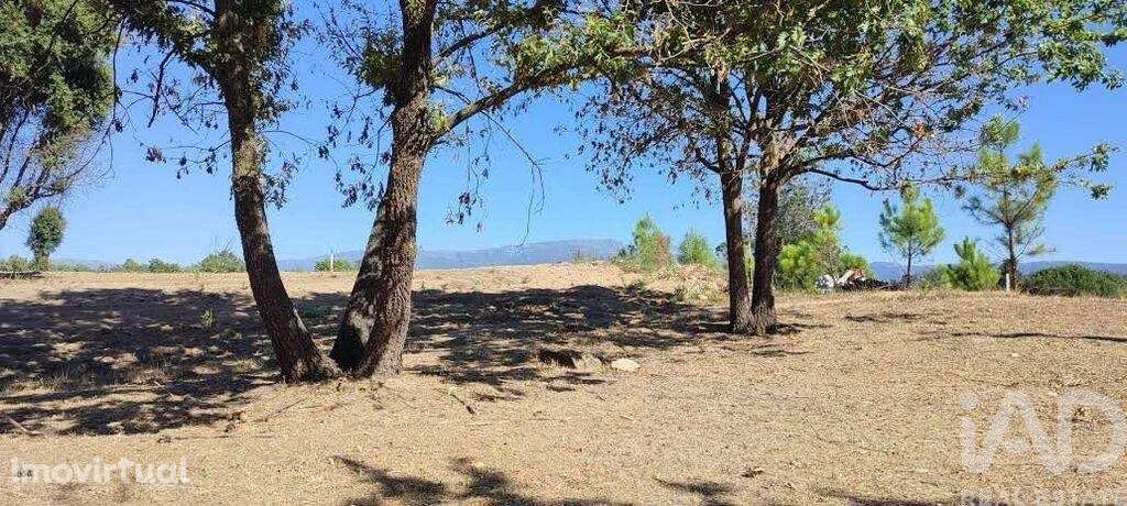 Quinta em Sameice e Santa Eulália de 240 m2 - Grande imagem: 4/26