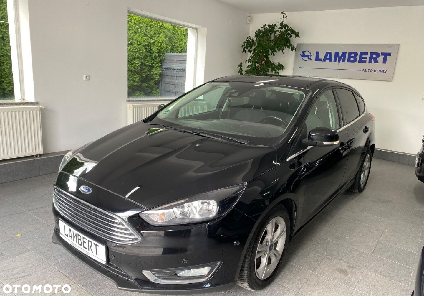 Ford Focus - 2