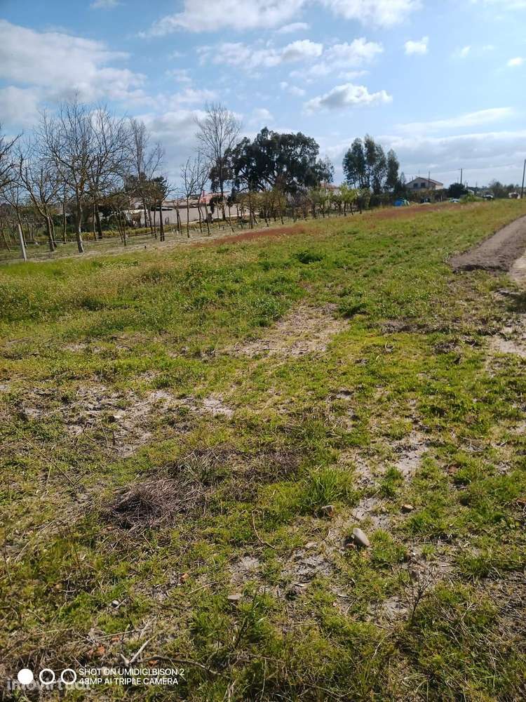Terreno Urbano em Marinhais, Salvaterra de Magos - 52.000€ - Grande imagem: 2/8