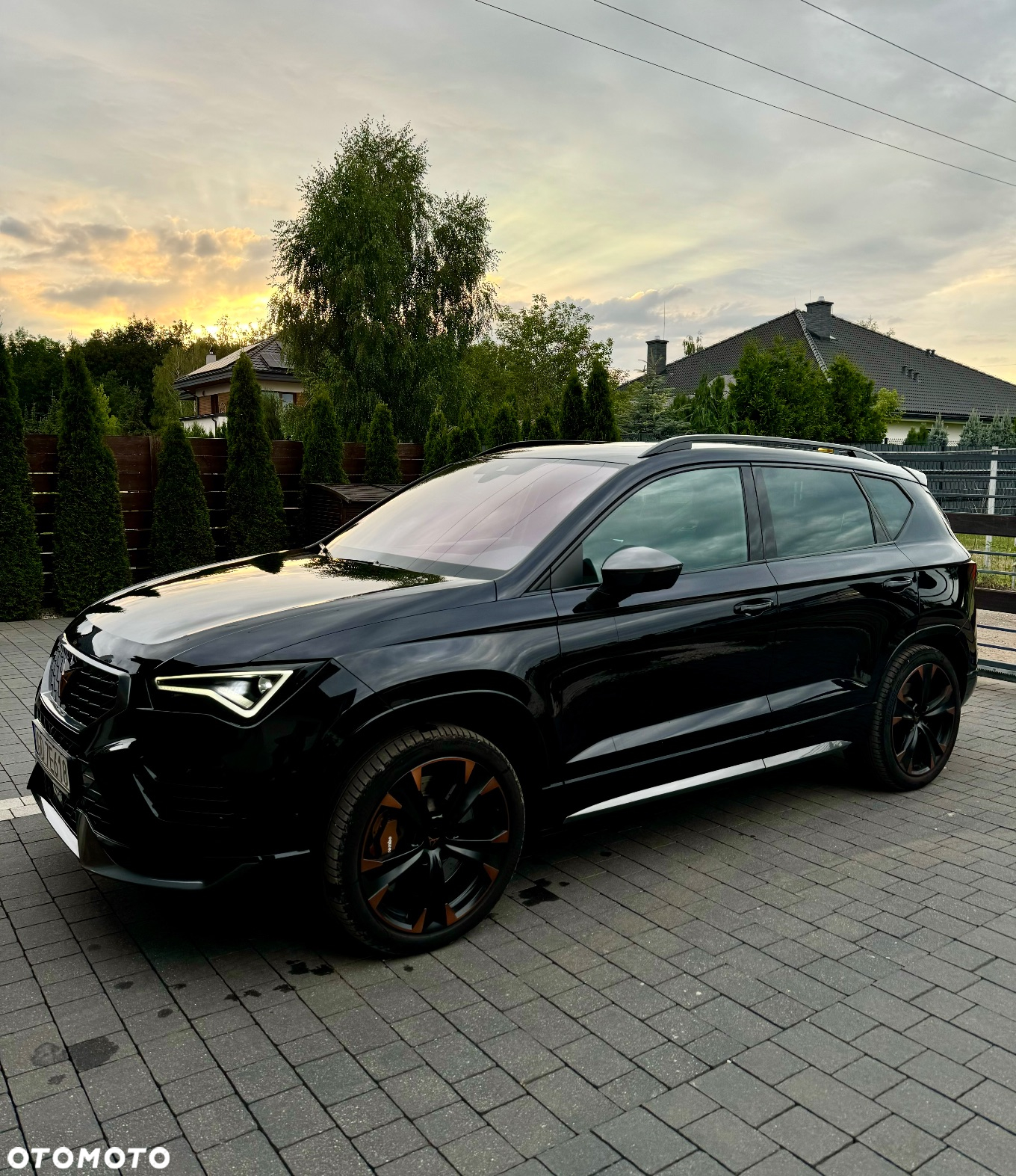 Cupra Ateca - 10