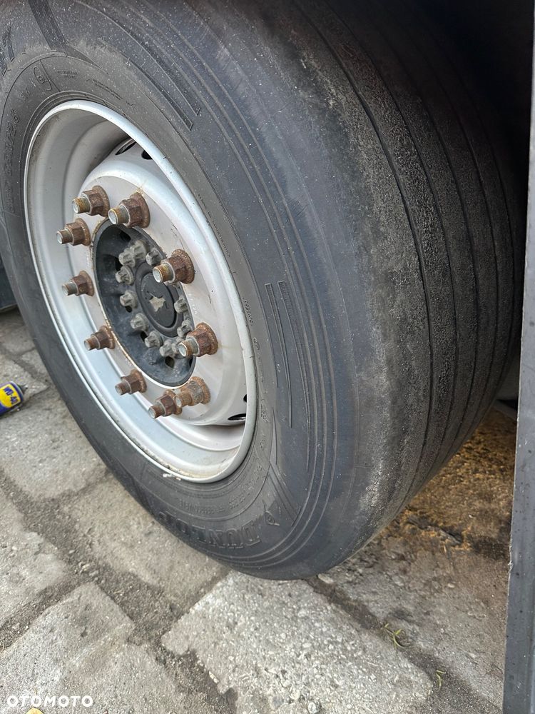 Schmitz Cargobull - 10