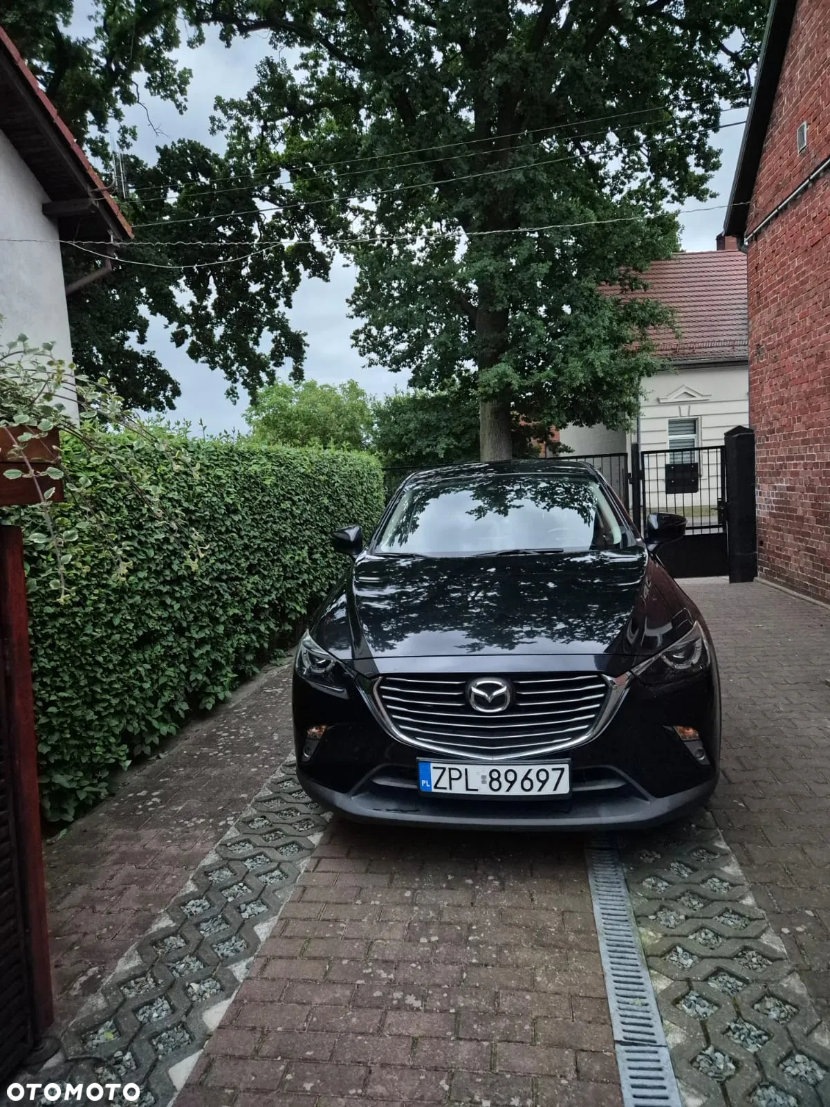 Mazda CX-3 1.5 D Skypassion i-ELoop AWD - 2