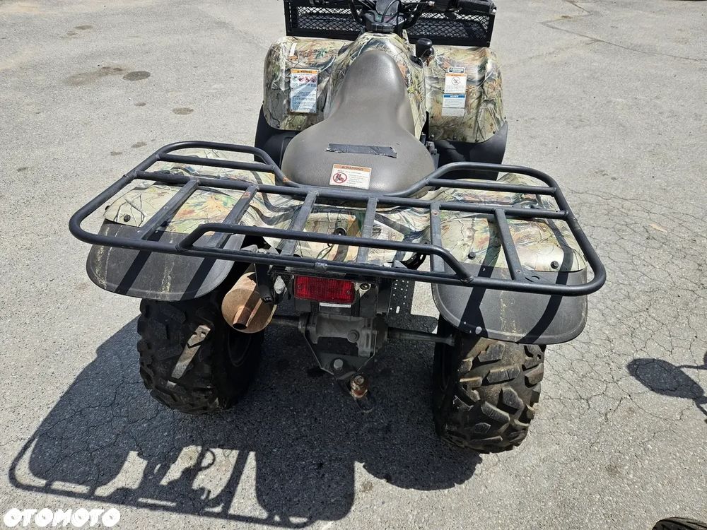 Kawasaki Brute Force - 16