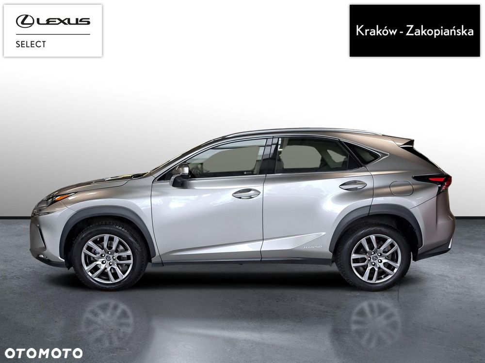 Lexus NX 300h Business Edition AWD - 5