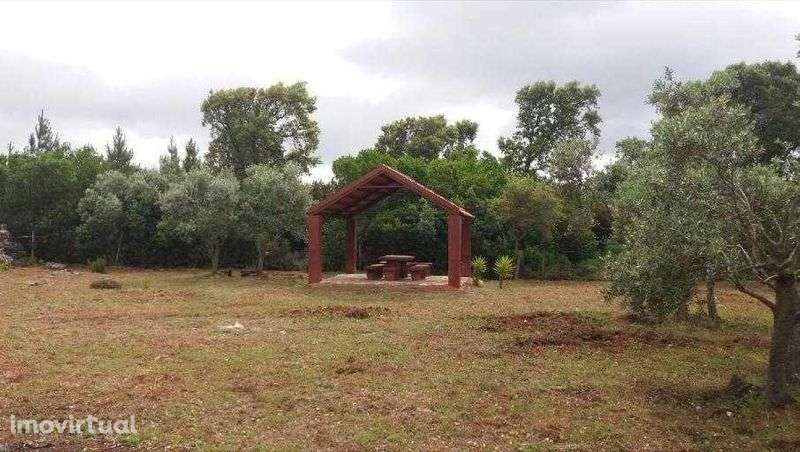 Terreno Rústico - Serra de Aire - Grande imagem: 3/7