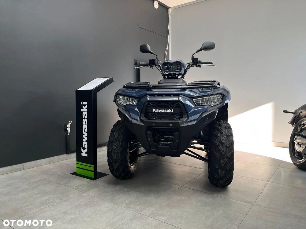 Kawasaki Brute Force