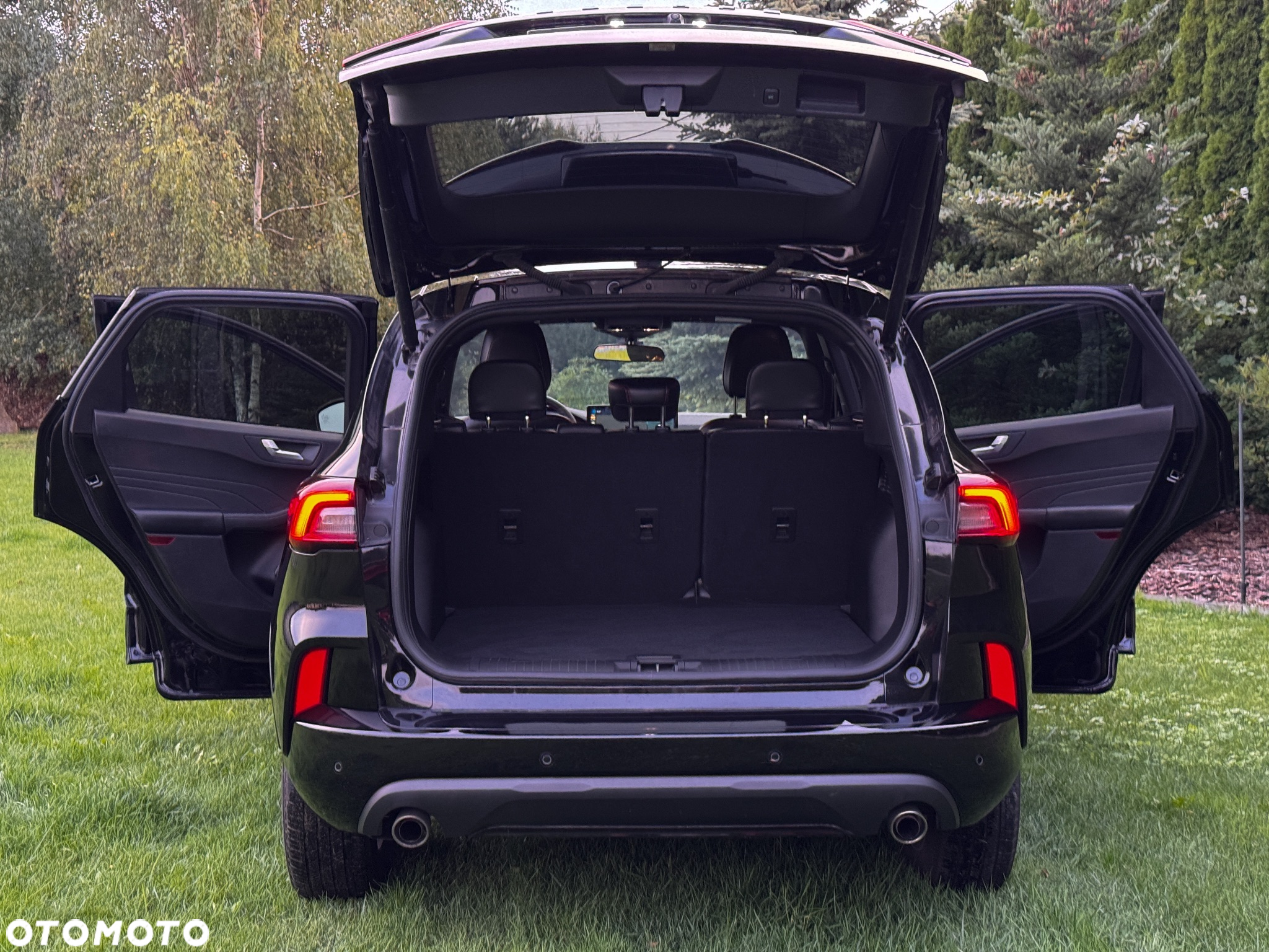 Ford Escape - 10