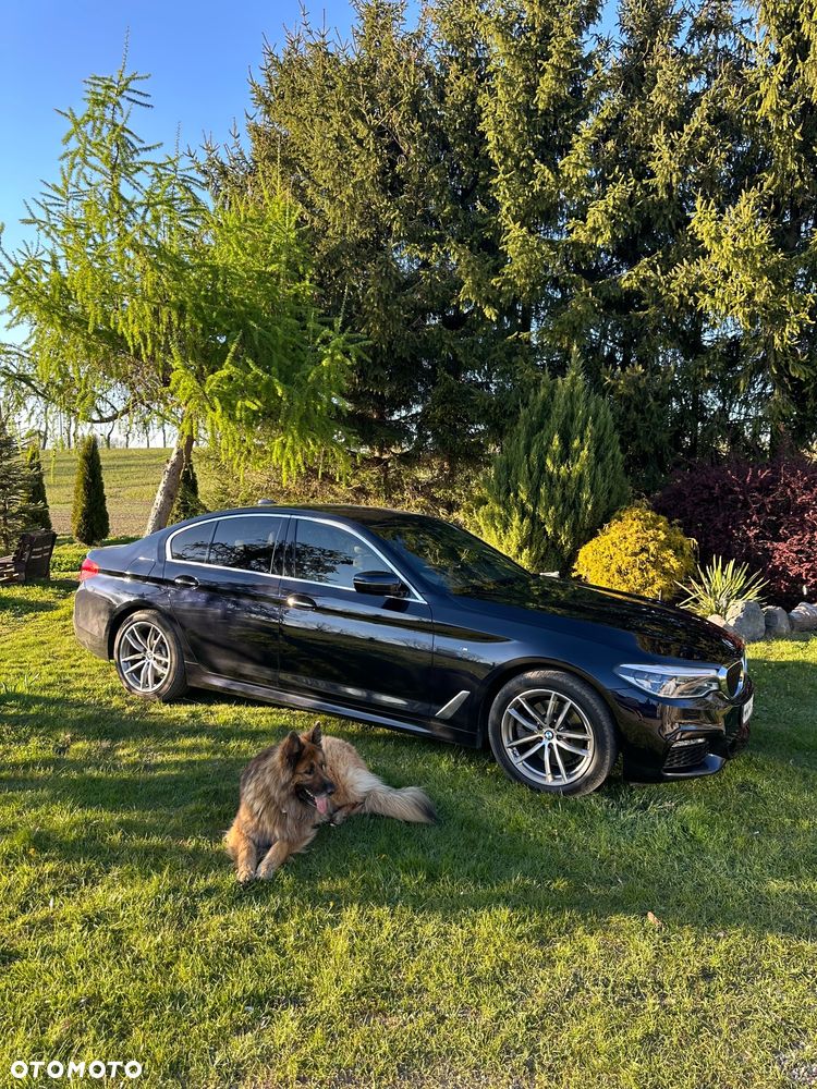 BMW Seria 5 520d M Sport - 11