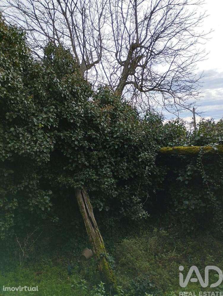 Prédio T9 em Provesende, Gouvães do Douro e São Cristóvão do Douro de - Grande imagem: 5/13