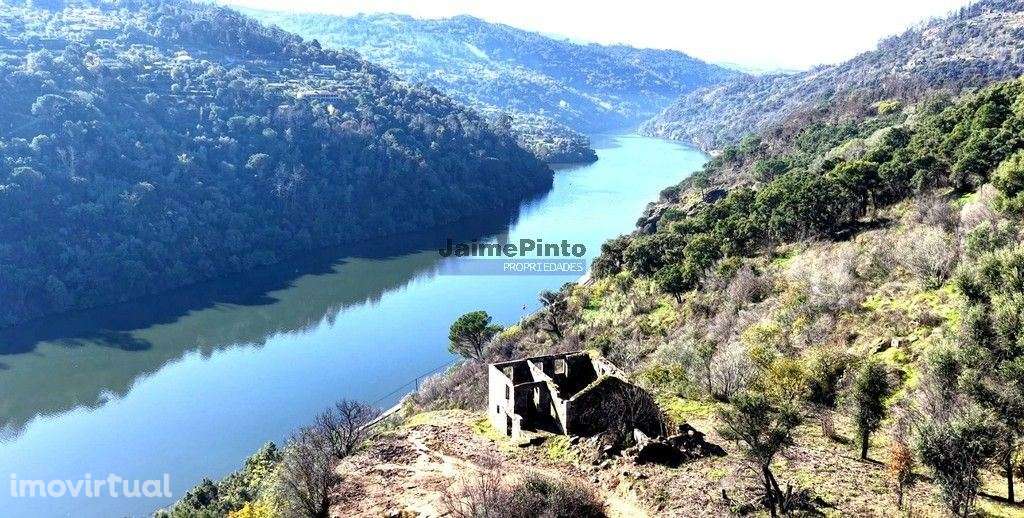 Quinta mini e Ruína, ampla vista rio Douro. Portugal, Norte, Porto,... - Grande imagem: 2/10