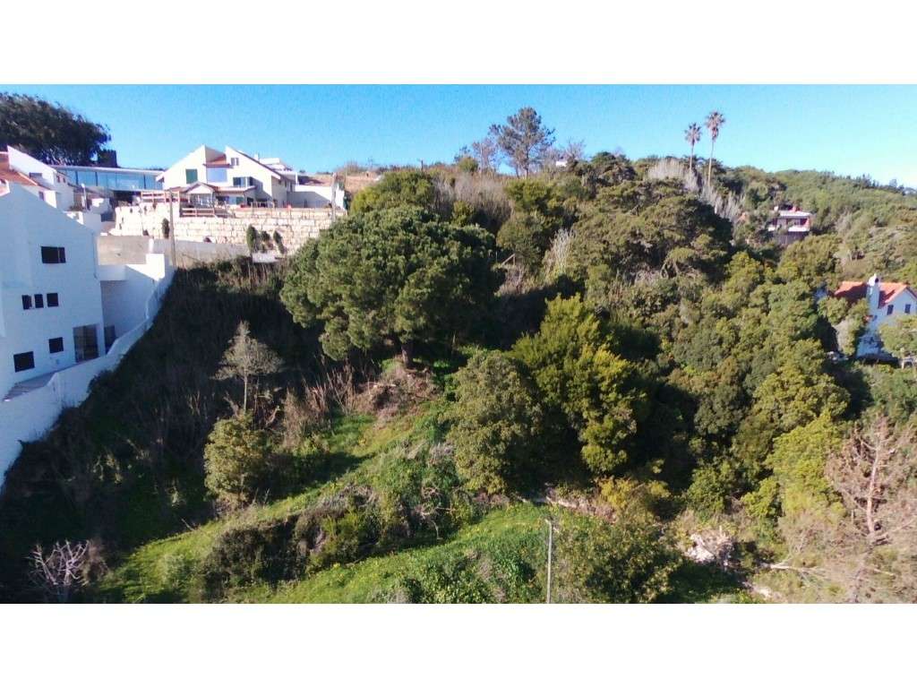 Terreno para 2 moradias com vista Lagoa de Óbidos - Grande imagem: 3/6