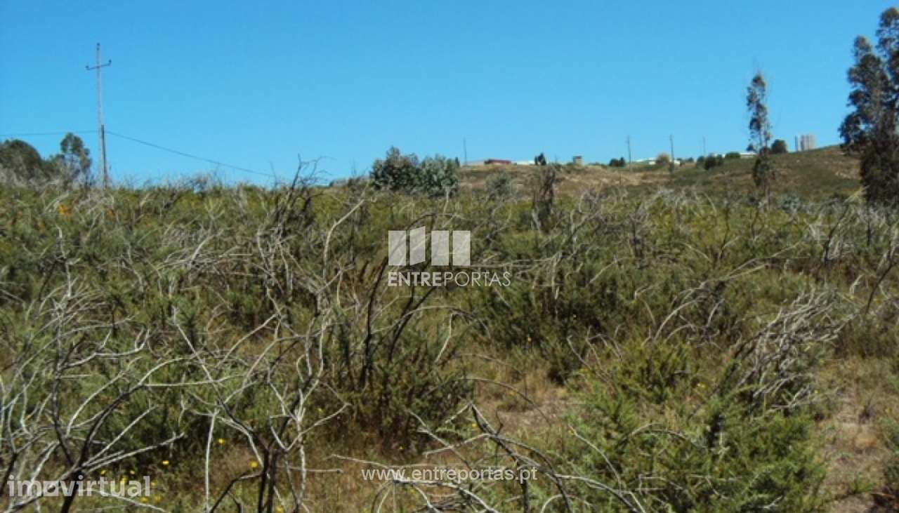 Venda Terreno, Lustosa, Lousada - Grande imagem: 3/14