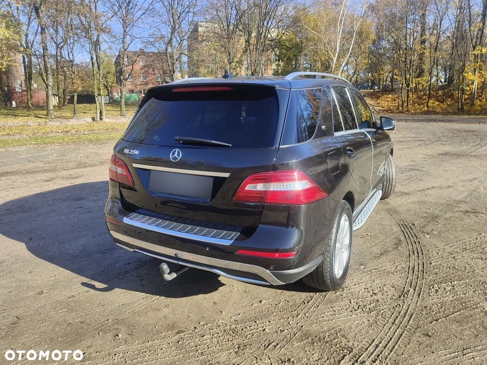 Mercedes-Benz ML 250 BlueTEC 4-Matic - 4