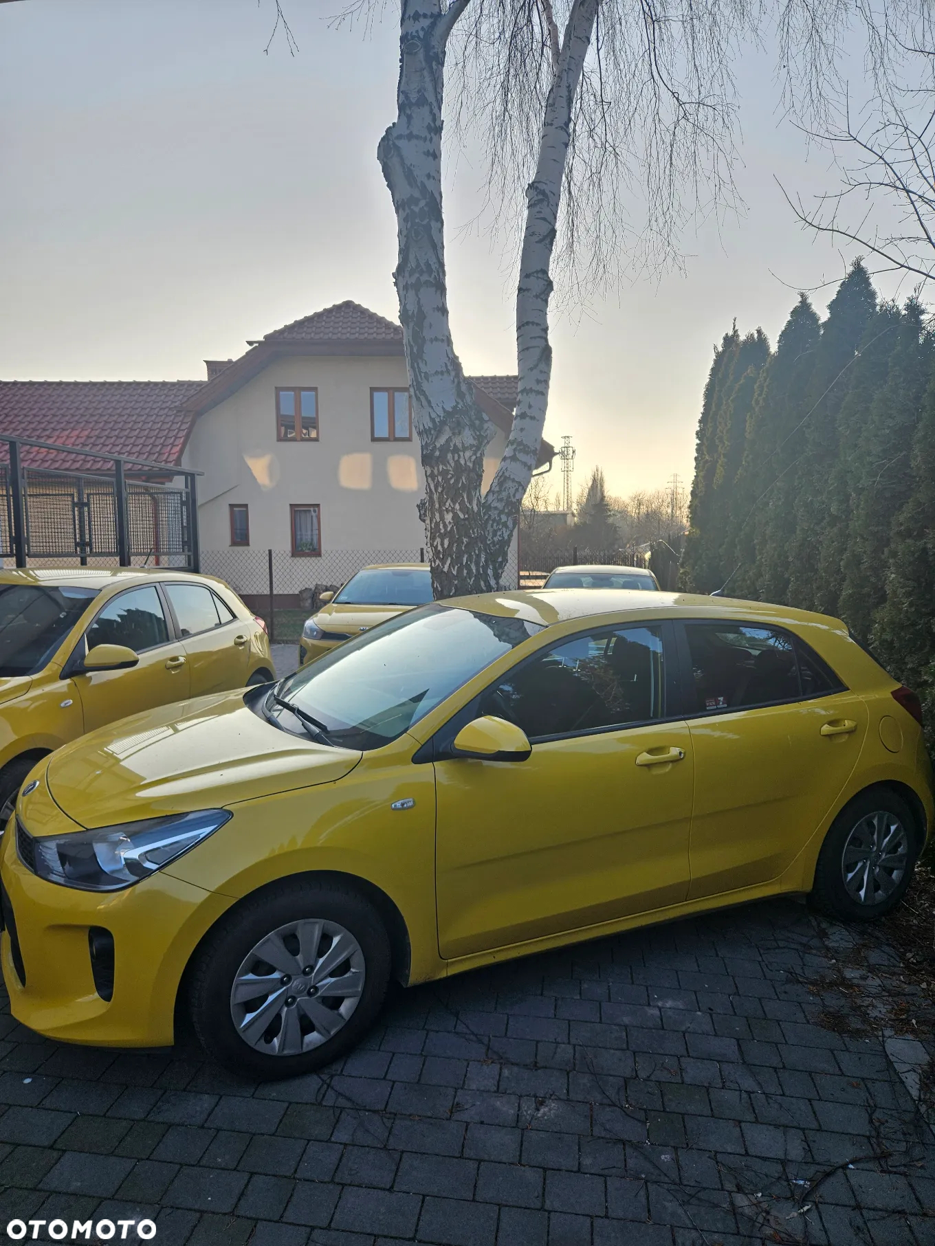 Kia Rio 1.2 M - 2