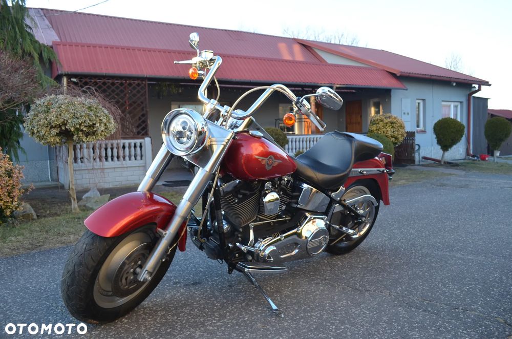 Harley-Davidson Softail - 3