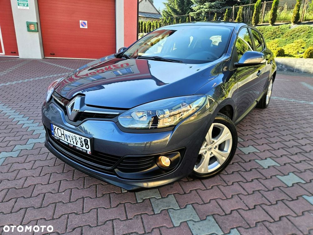 Renault Megane 1.6 16V 110 Authentique - 14