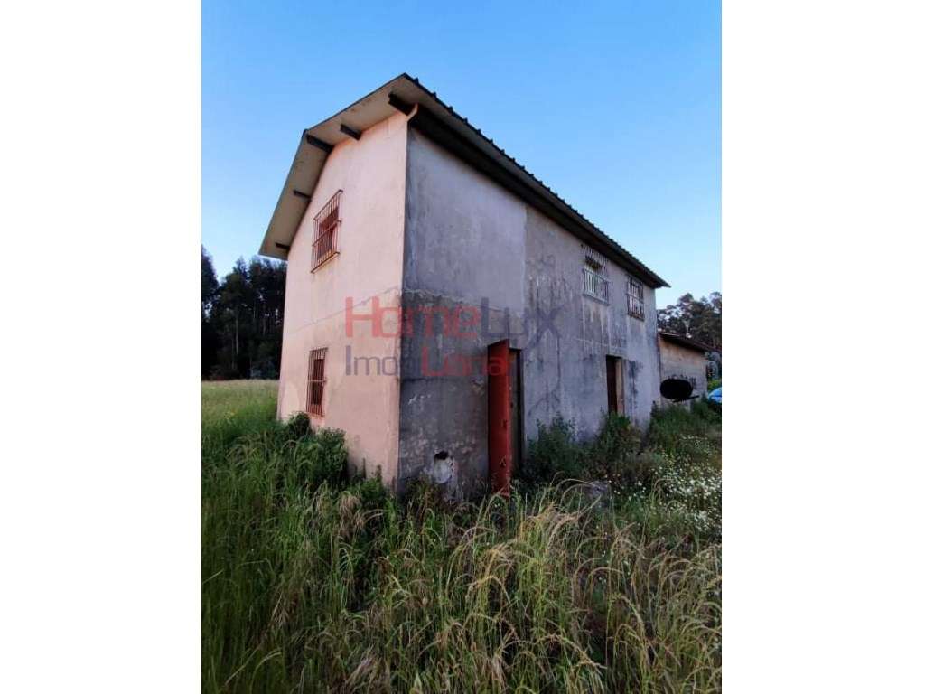 Quinta em Válega - Grande imagem: 3/23