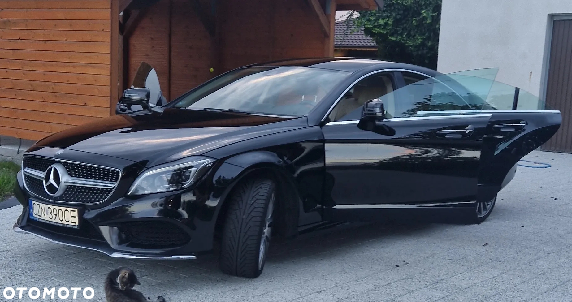 Mercedes-Benz CLS 350 BlueTEC 4-Matic - 6