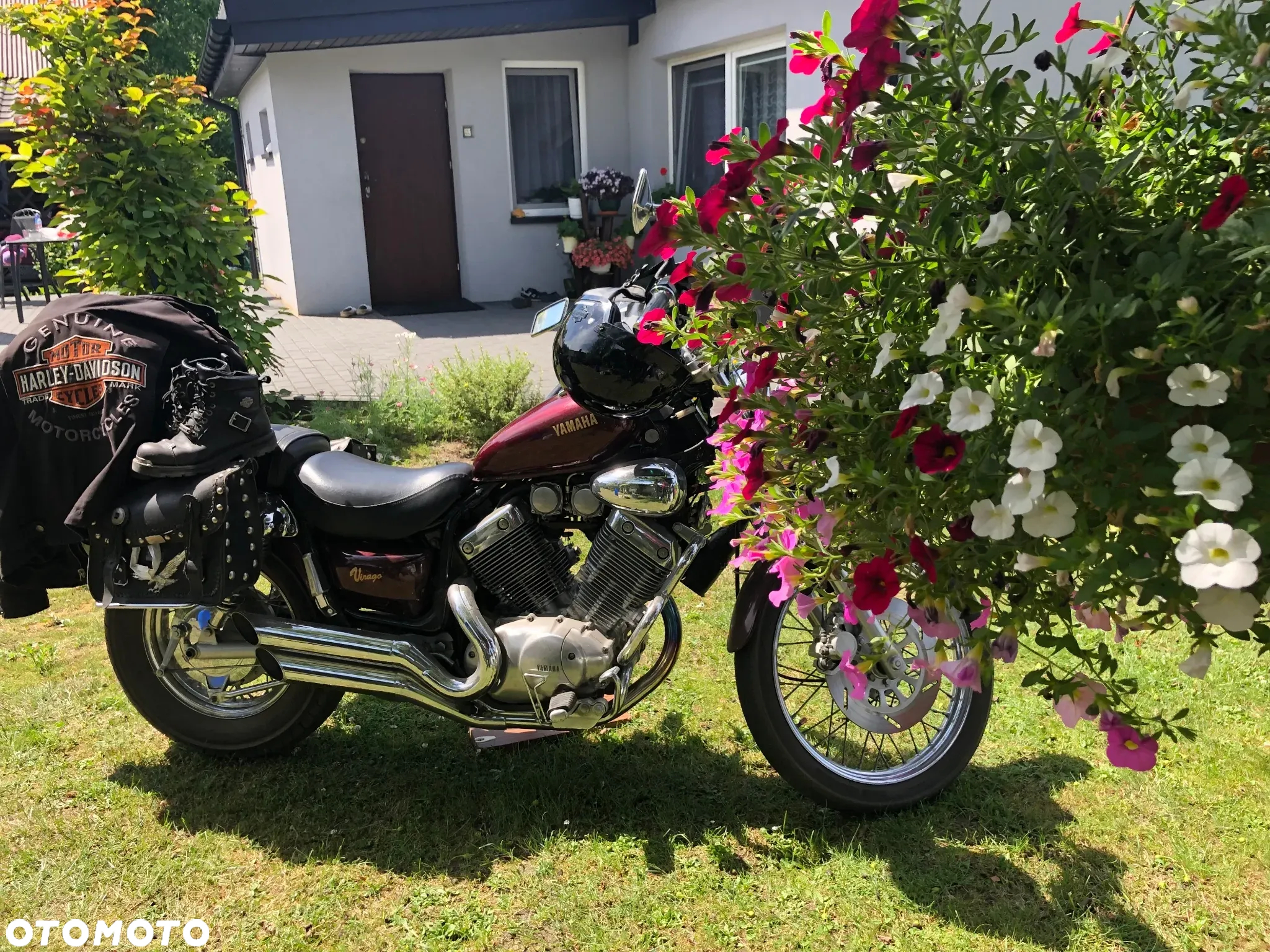 Yamaha Virago - 2