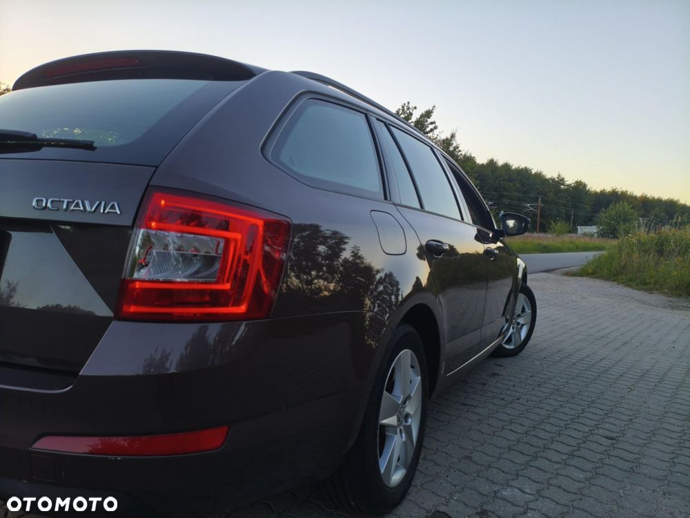 Skoda Octavia 2.0 TDI Ambition EU6 - 11