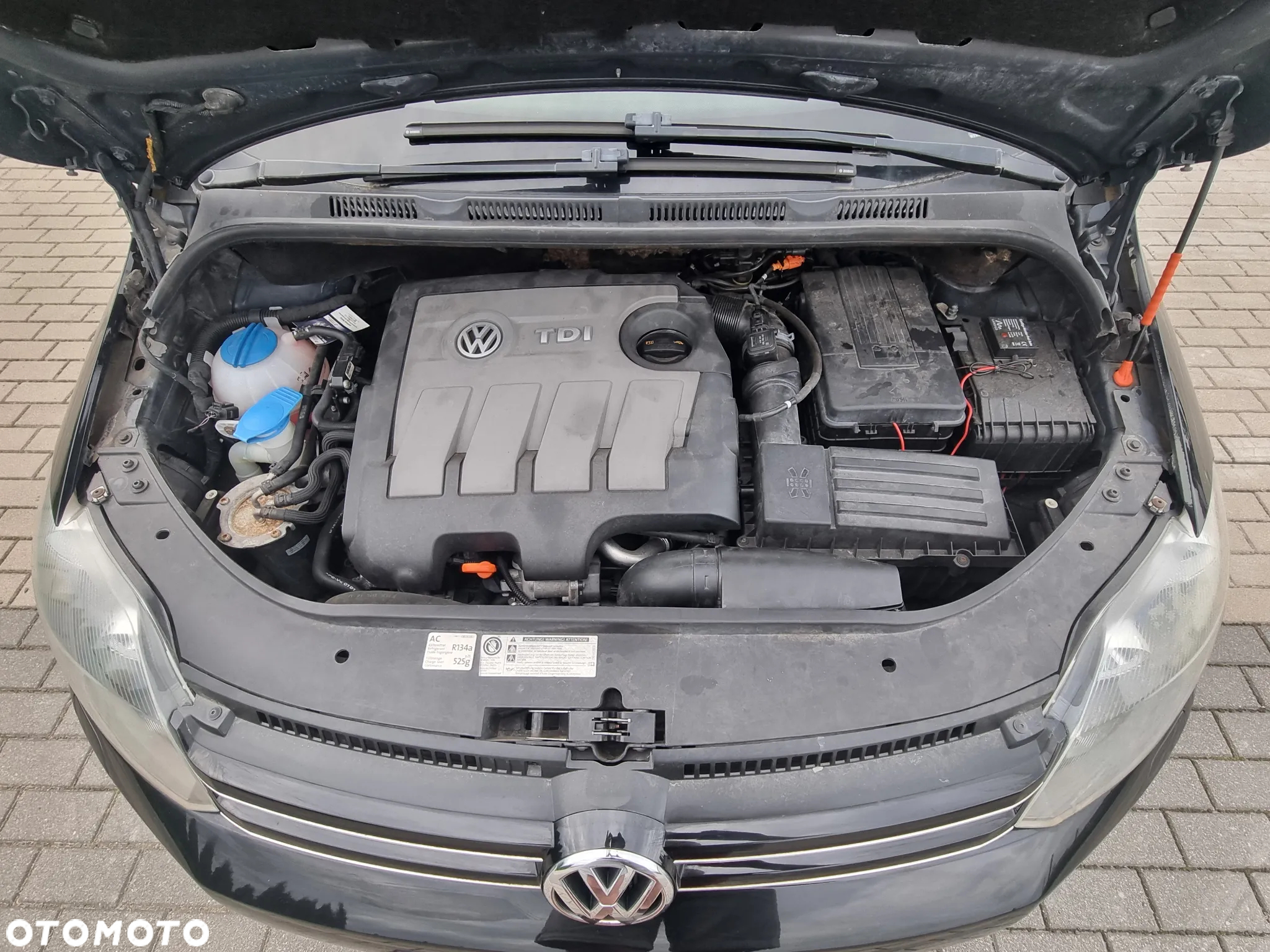 Volkswagen Golf Plus Plus1.6 TDI DPF BlueMotion Technology Style - 17