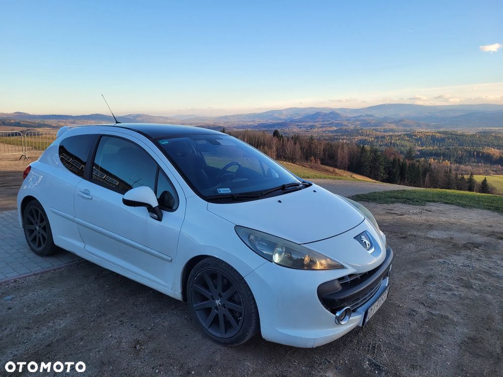 Peugeot 207 RC - 8