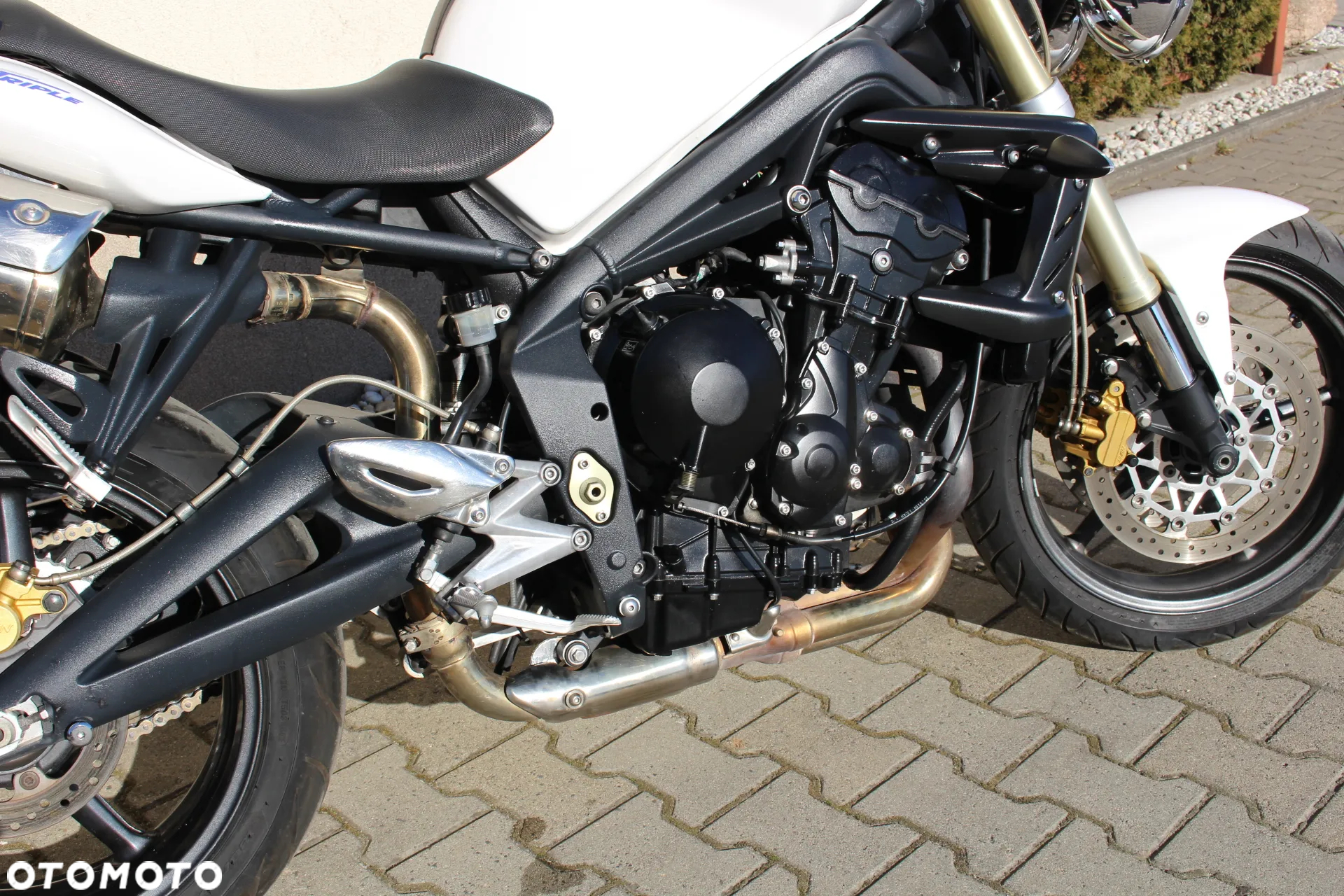 Triumph Speed Triple - 6